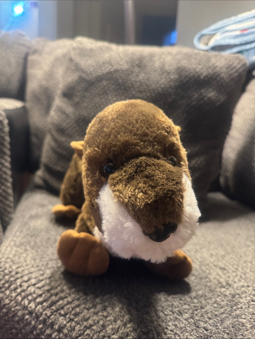 Fiesta Brown and White Plush Otter Toy